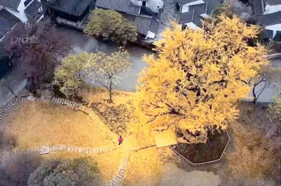 嘉兴梅花洲拓展基地