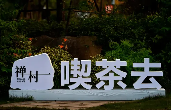 径山春回森林