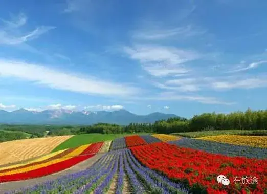 浙江桐庐巴比松