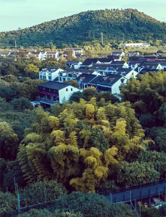 树山