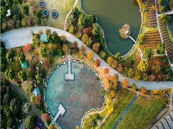 无锡鹅湖玫瑰园