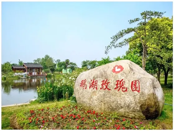 玫瑰园