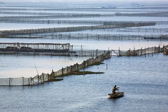 阳澄湖