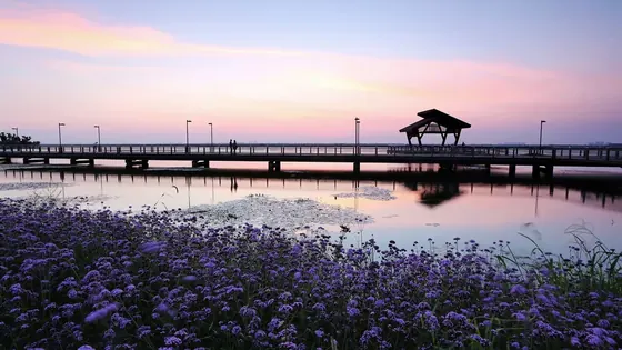 阳澄湖半岛田园