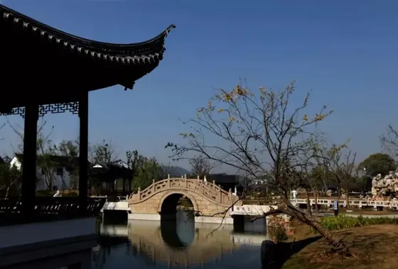 西山金满庭