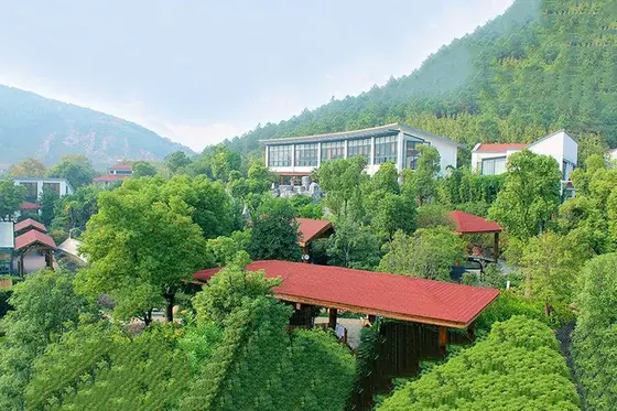 阳山温泉度假村